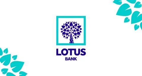 Lotus Bank Security Breach Sparks Investor Panic as Hackers Drain Millions