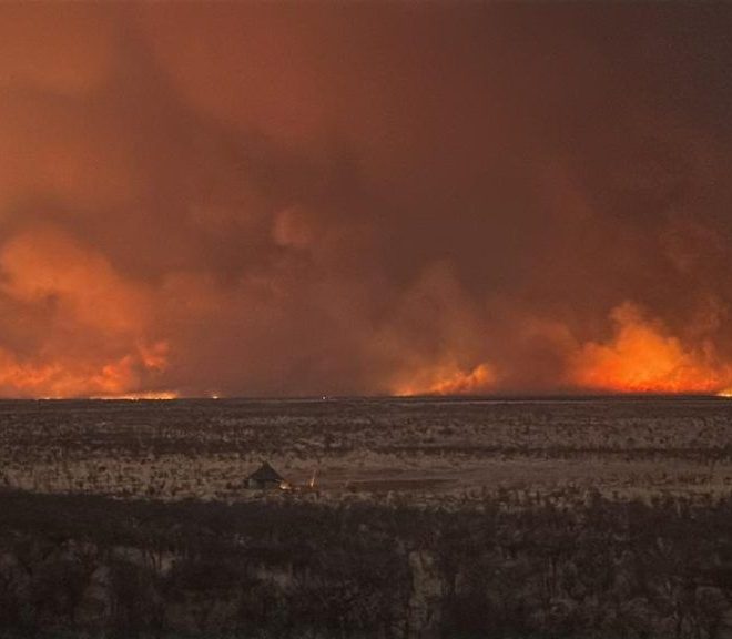 Namibia deploys 500 soldiers to fight Etosha fire