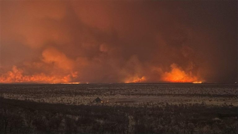 Namibia deploys 500 soldiers to fight Etosha fire