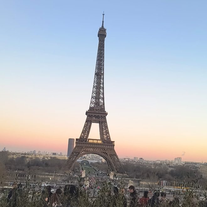 Paris rats find unlikely political ally