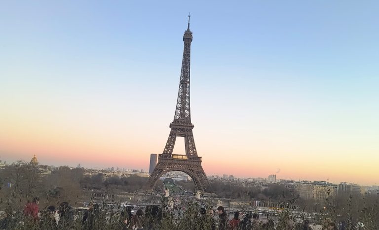 Paris rats find unlikely political ally