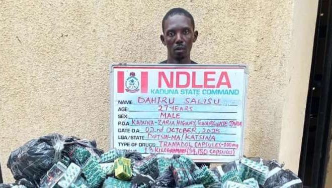 NDLEA nabs six drug lords, foils UK-Bound cocaine shipments