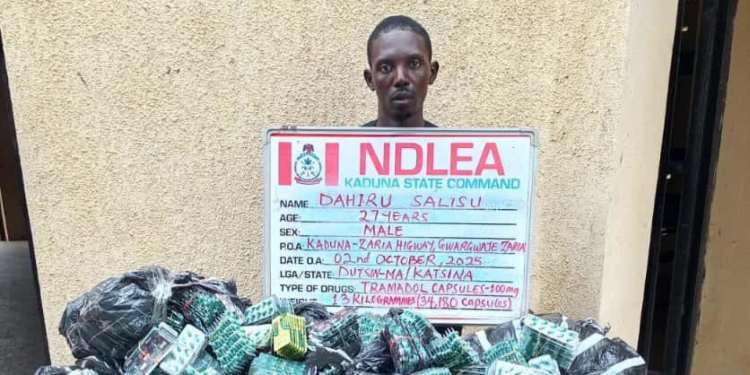 NDLEA nabs six drug lords, foils UK-Bound cocaine shipments