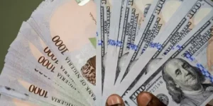 Naira rises to N1,495/$ in parallel market