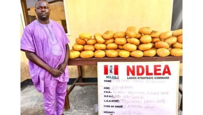 NDLEA nabs Lagos politician, Sheleru Sadiq Olalekan, over illicit drug deal